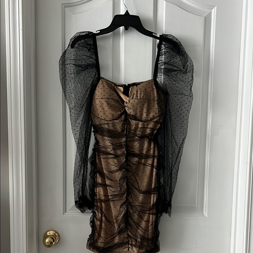 Elegant Black and Brown Long Sleeve Dress